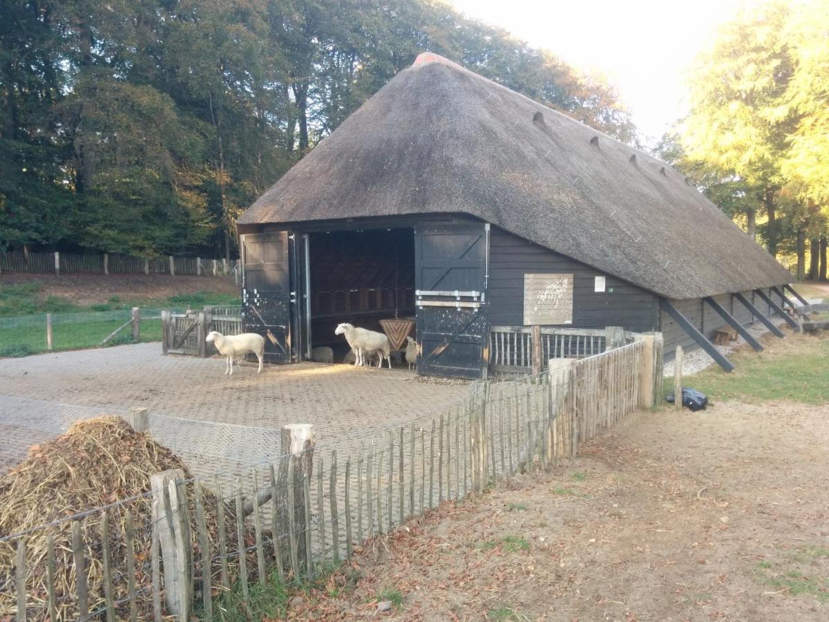 Chalet Hoenderloo Beuk 외부 사진